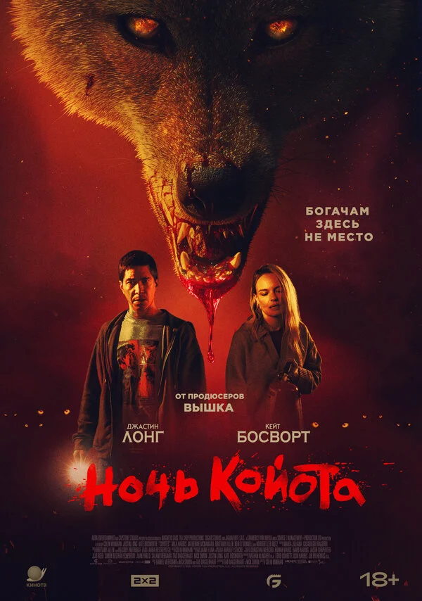 Ночь койота постер